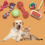 Manufacturing and Contract Manufacturing of Plastic Pet Toys for Dogs and Cats